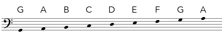 Bass clef notes in the staff